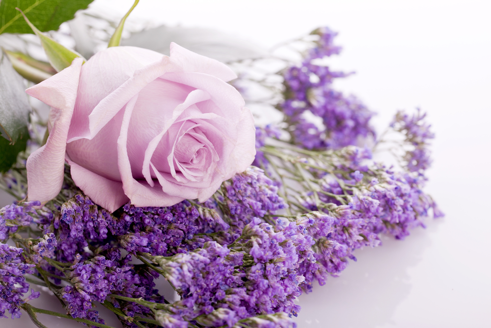 FRAGRANZE Fiorite Rose & Violet - Scentpassion